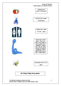 Human Genetics Worksheet