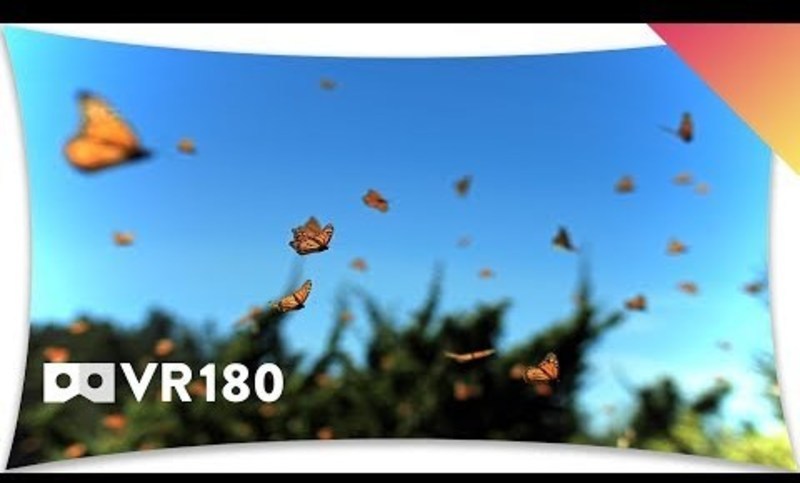 Mexico’s Monarch Butterfly Migration in VR180 Instructional Video