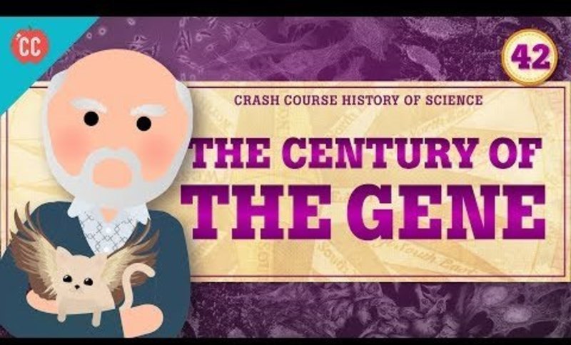 The Century of the Gene: Crash Course History of Science #42 Instructional Video