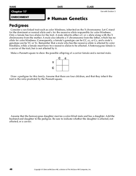 Human Genetics Worksheet