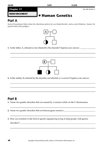 Human Genetics Worksheet