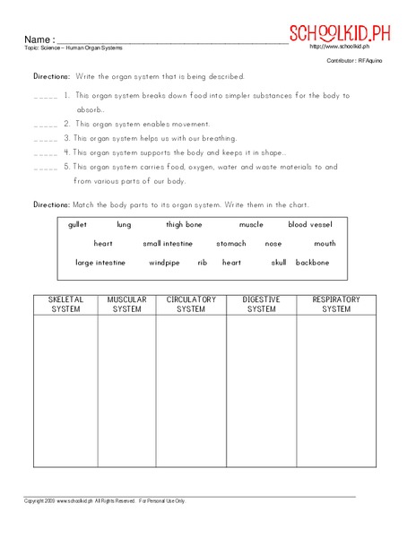 Human Organ Systems Worksheet