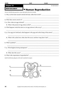 Human Reproduction Worksheet