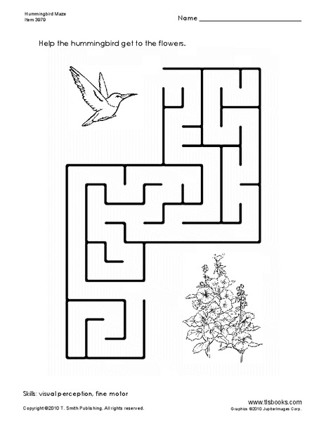 Hummingbird Maze Worksheet