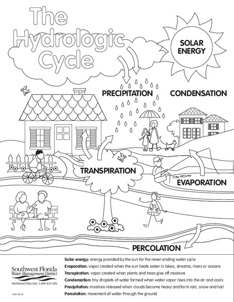 Hydrologic Cycle Organizer