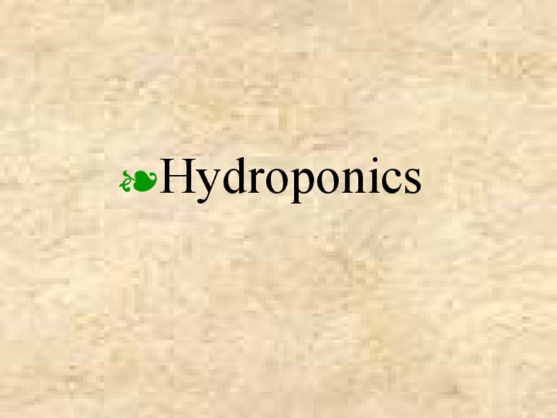 Hydroponics PPT