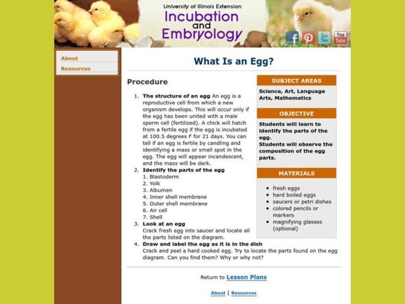 What Is an Egg? Lesson Plan