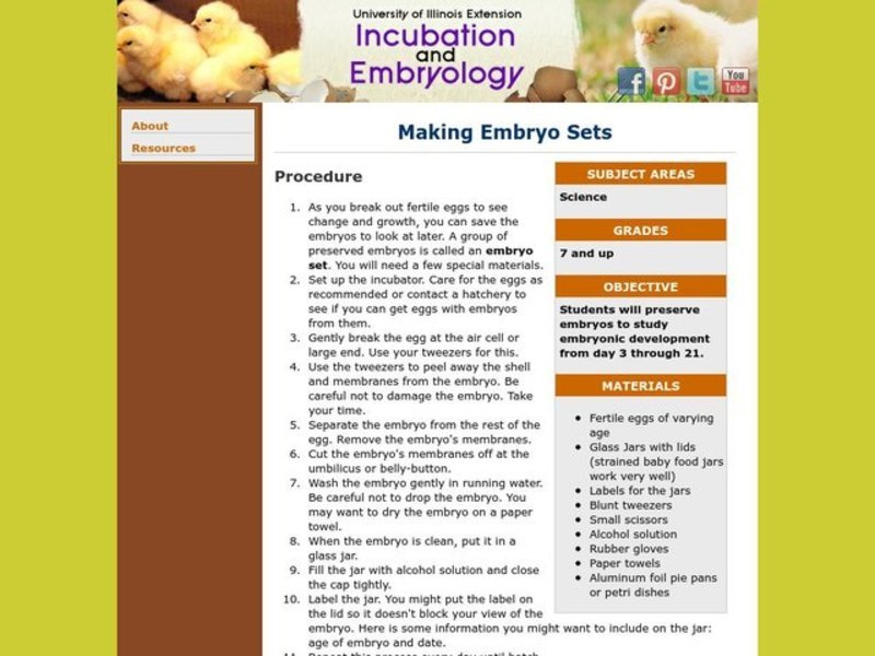 Making Embryo Sets Lesson Plan