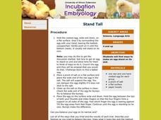 Stand Tall Lesson Plan
