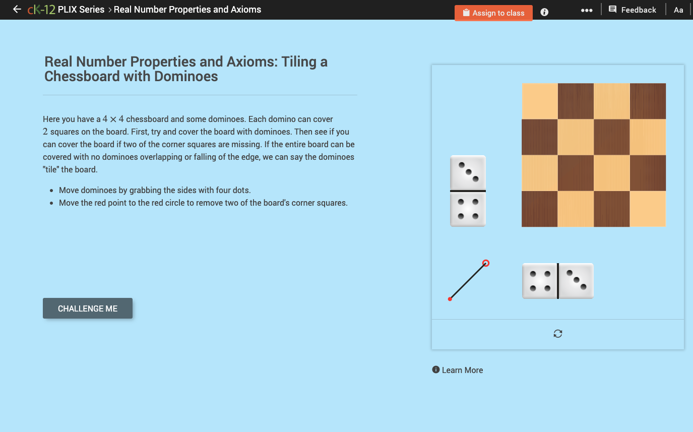 Integers: Tiling a Chessboard with Dominoes Interactive
