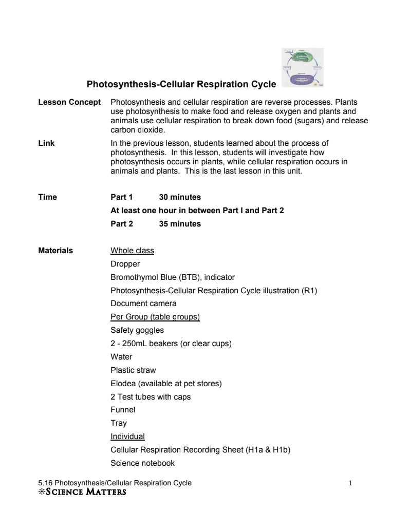 Photosynthesis-Cellular Respiration Cycle Lesson Plan