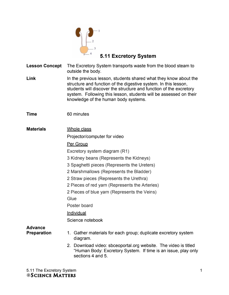 Excretory System Lesson Plan