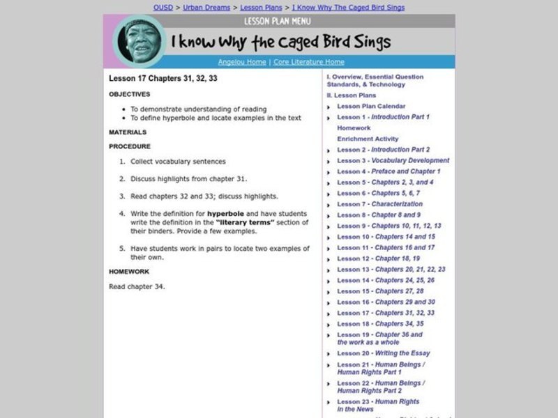 I Know Why the Caged Bird Sings Lesson Plan