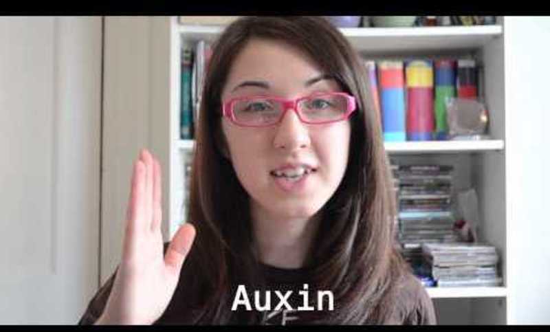 Phototropism and Plant Hormones! Instructional Video