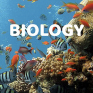 Utah Open Textbook: Biology eBook