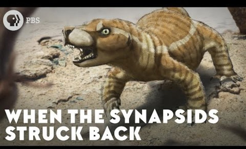 When the Synapsids Struck Back Instructional Video