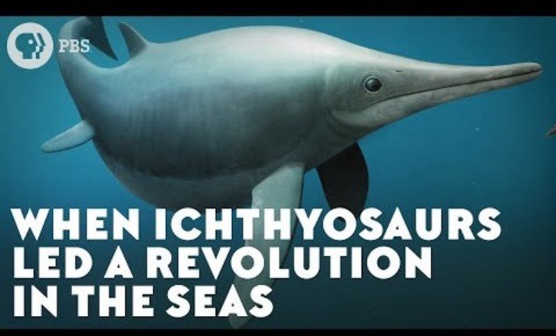When Ichthyosaurs Led a Revolution in the Seas Instructional Video
