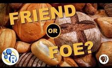 The Only Video You'll Ever Need to Watch About Gluten Instructional Video