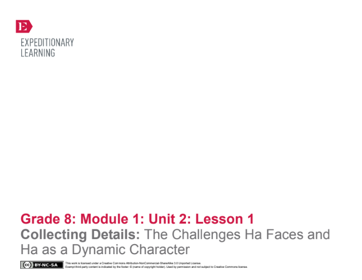 Collecting Details: The Challenges Ha Faces and Ha as a Dynamic Character Lesson Plan