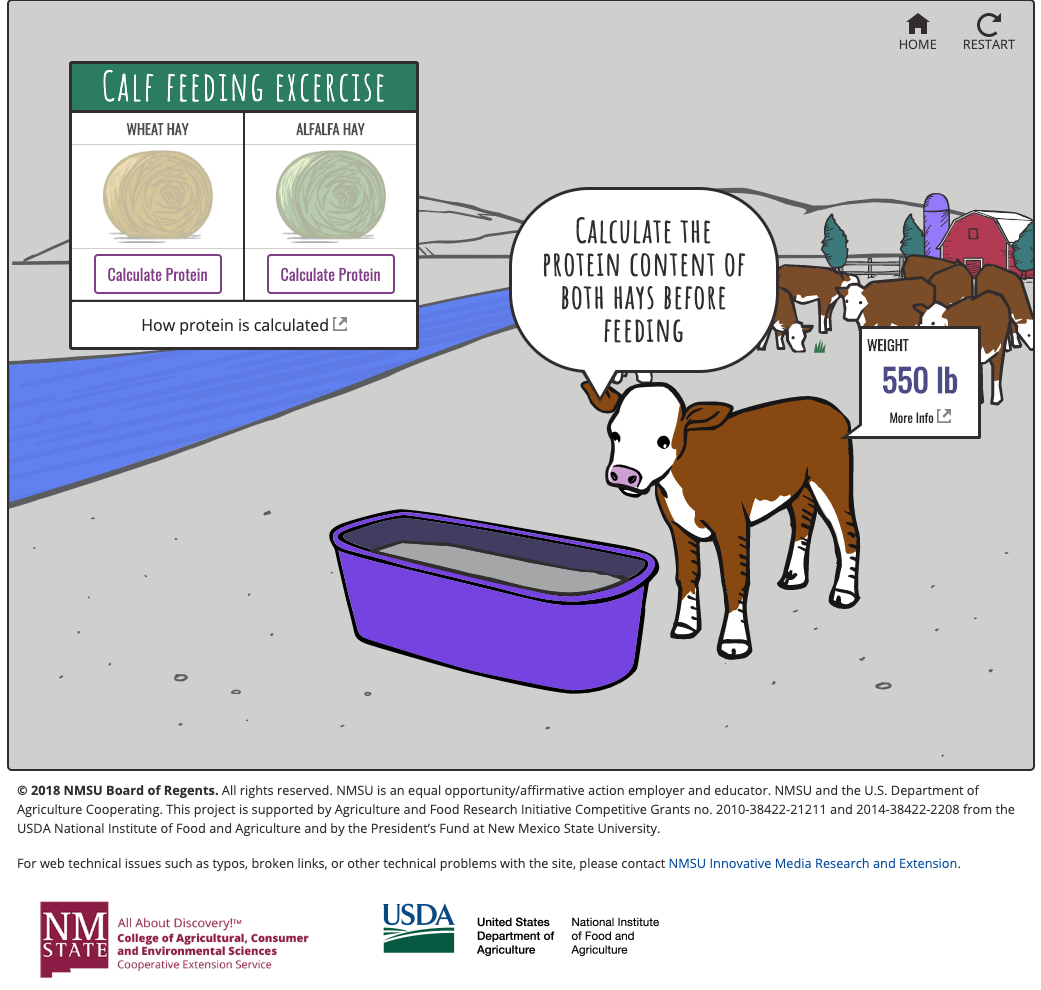 Cattle Feeding Interactive