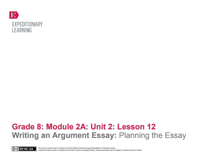 Writing an Argument Essay: Planning the Essay Lesson Plan