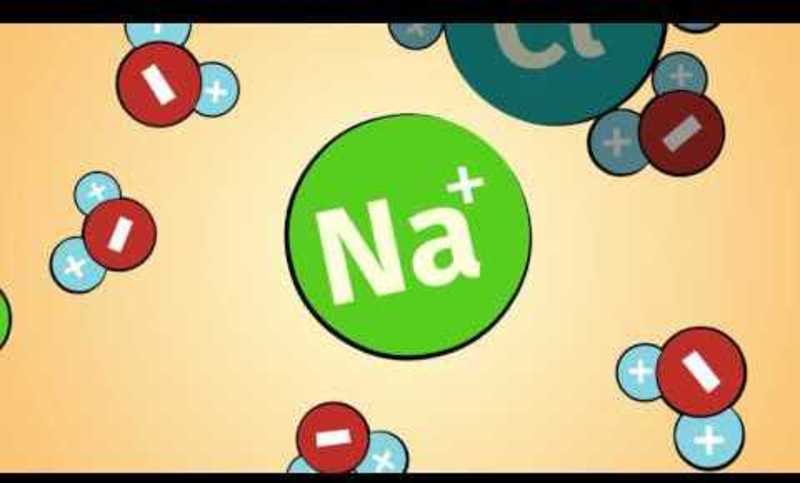 Unavailability of Water in Saline Soils Instructional Video