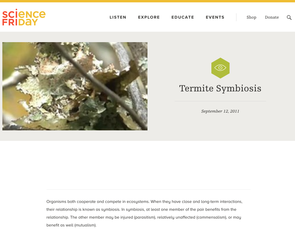 Termite Symbiosis Lesson Plan