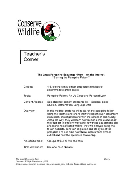 The Great Peregrine Scavenger Hunt - On the Internet Lesson Plan