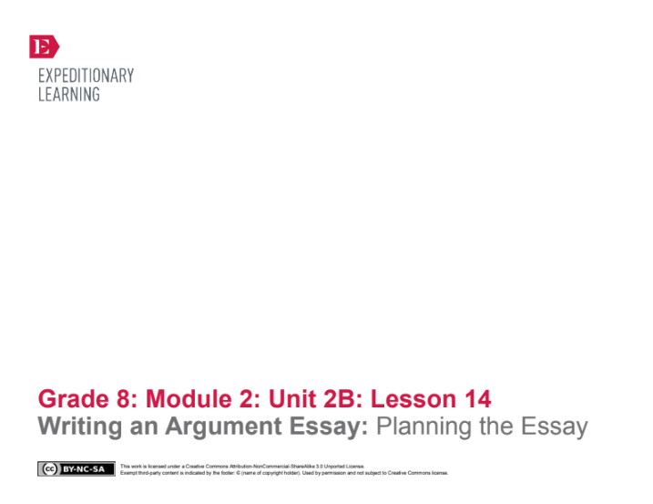 Writing an Argument Essay: Planning the Essay Lesson Plan