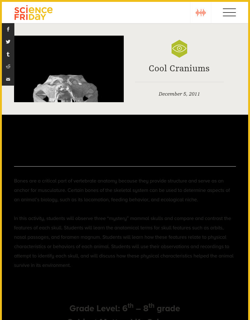 Cool Craniums Lesson Plan