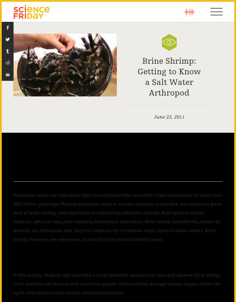 Brine Shrimp: Getting to Know a Salt Water Arthropod Lesson Plan