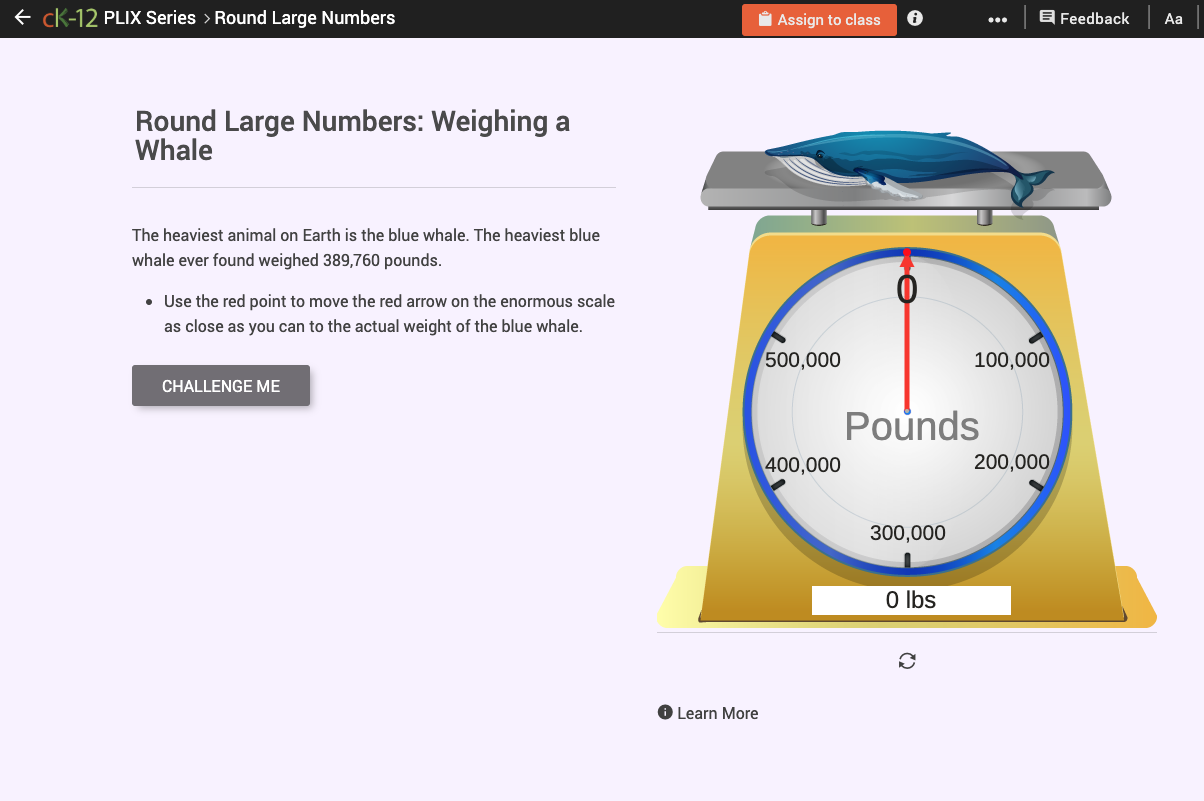 Large Decimal Rounding to Decimal Representations: Weighing a Whale Interactive