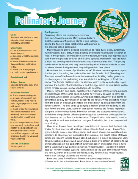 Pollinator's Journey: Grades K-4 Lesson Plan