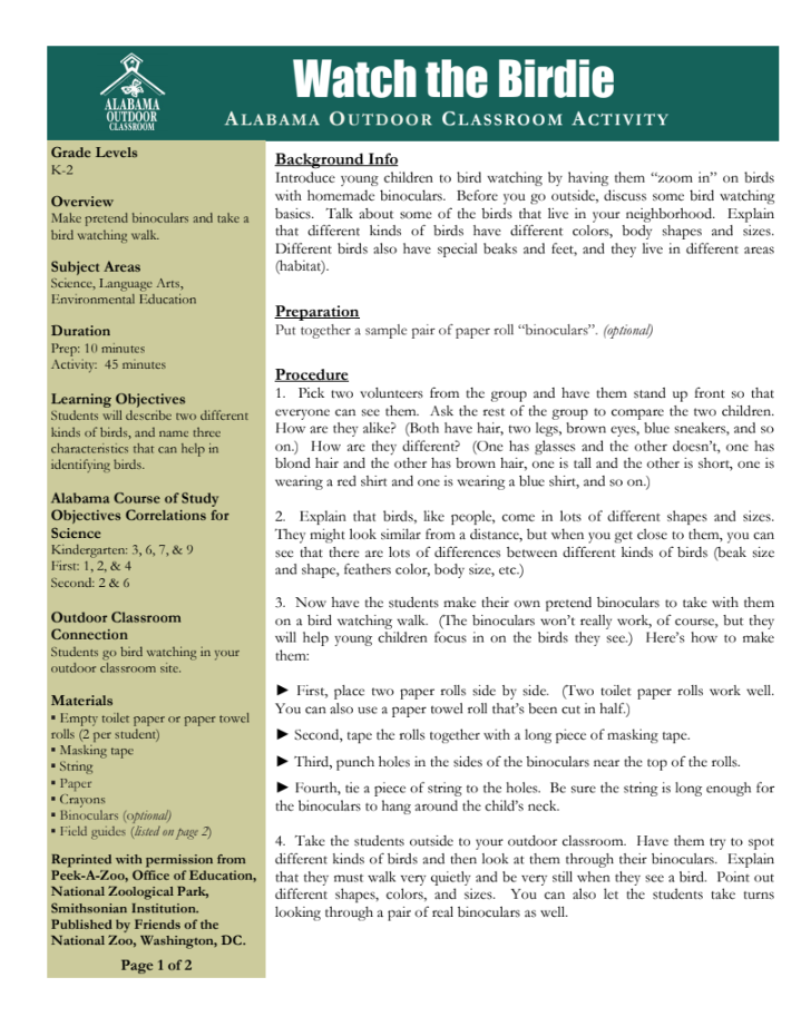 Watch the Birdie Lesson Plan