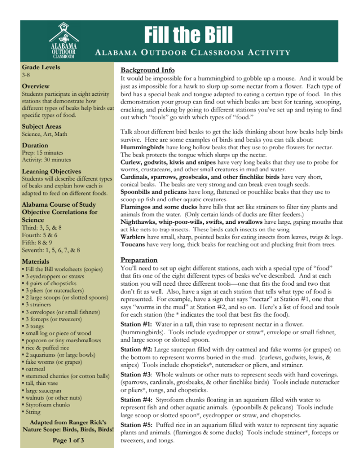 Fill the Bill Lesson Plan