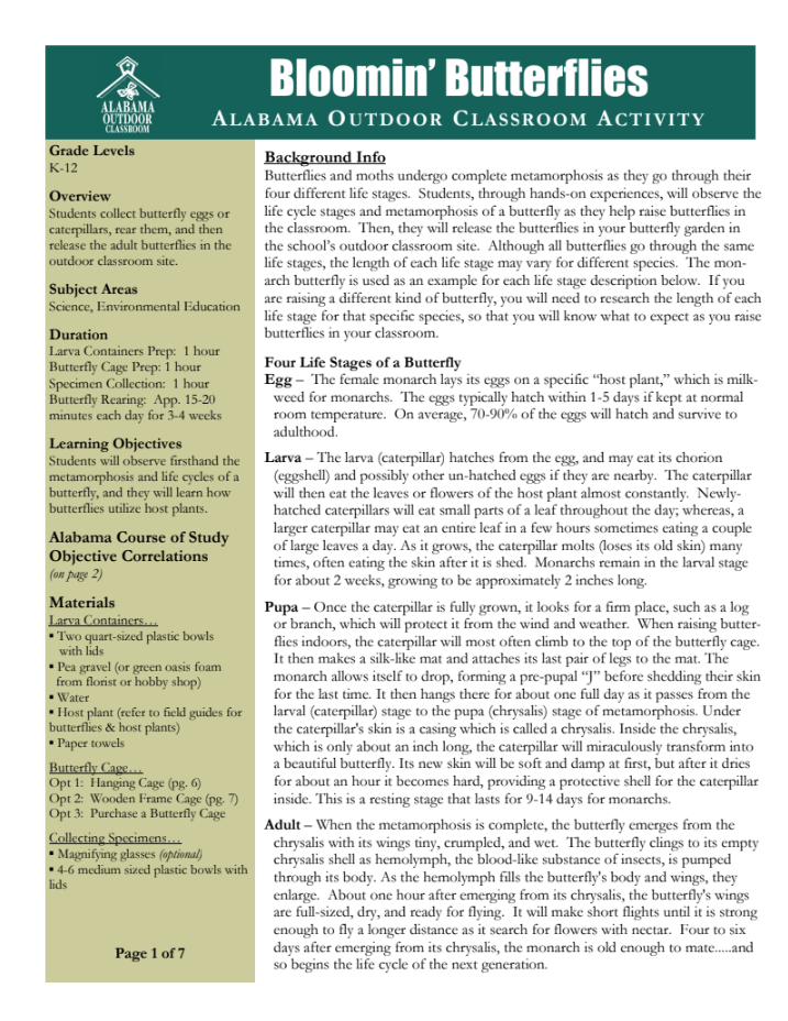 Bloomin' Butterflies Lesson Plan