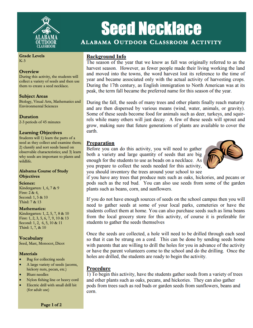 Seed Necklace Lesson Plan