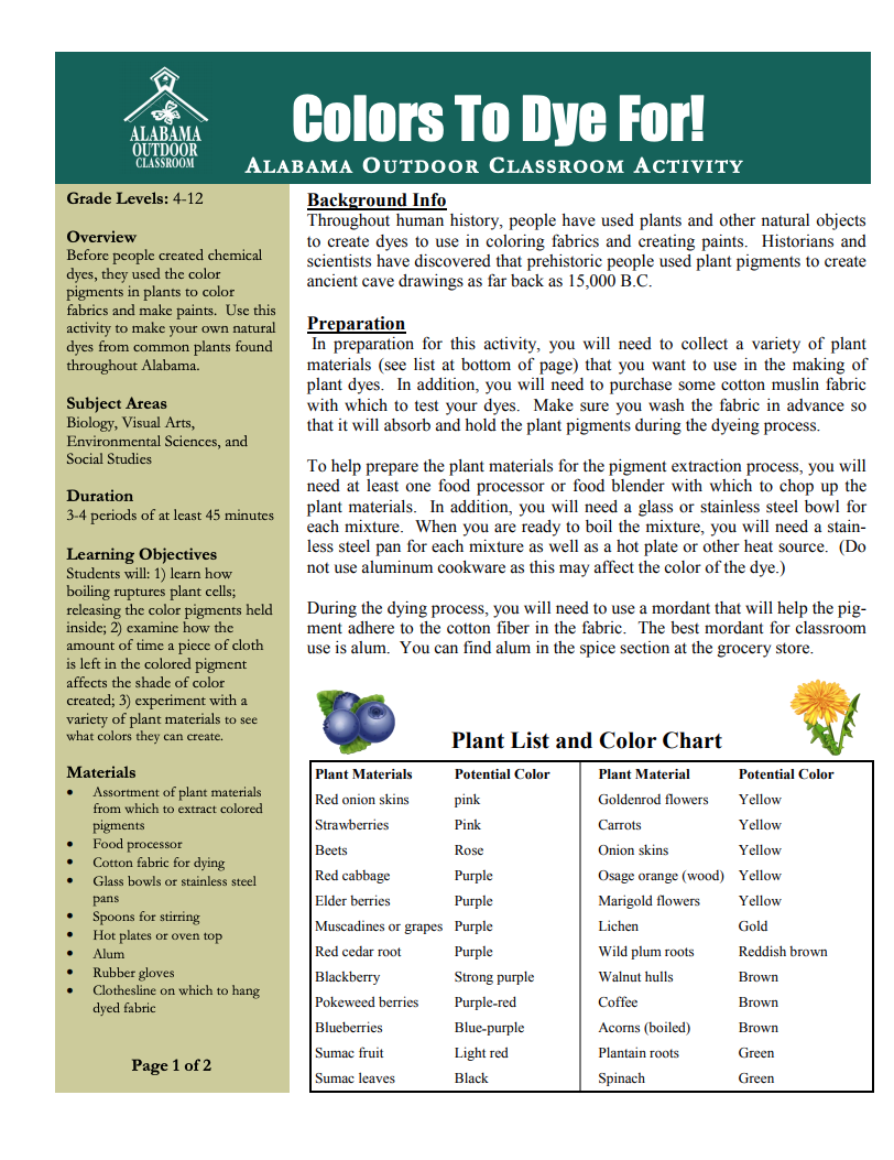 Colors to Dye for! Lesson Plan