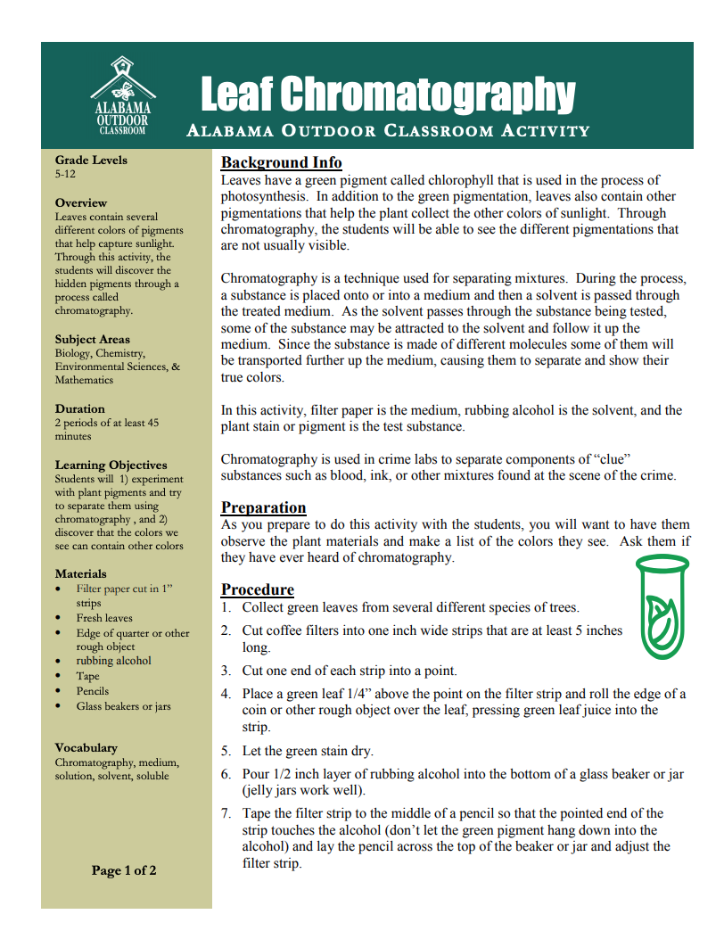 Leaf Chromatography Lesson Plan