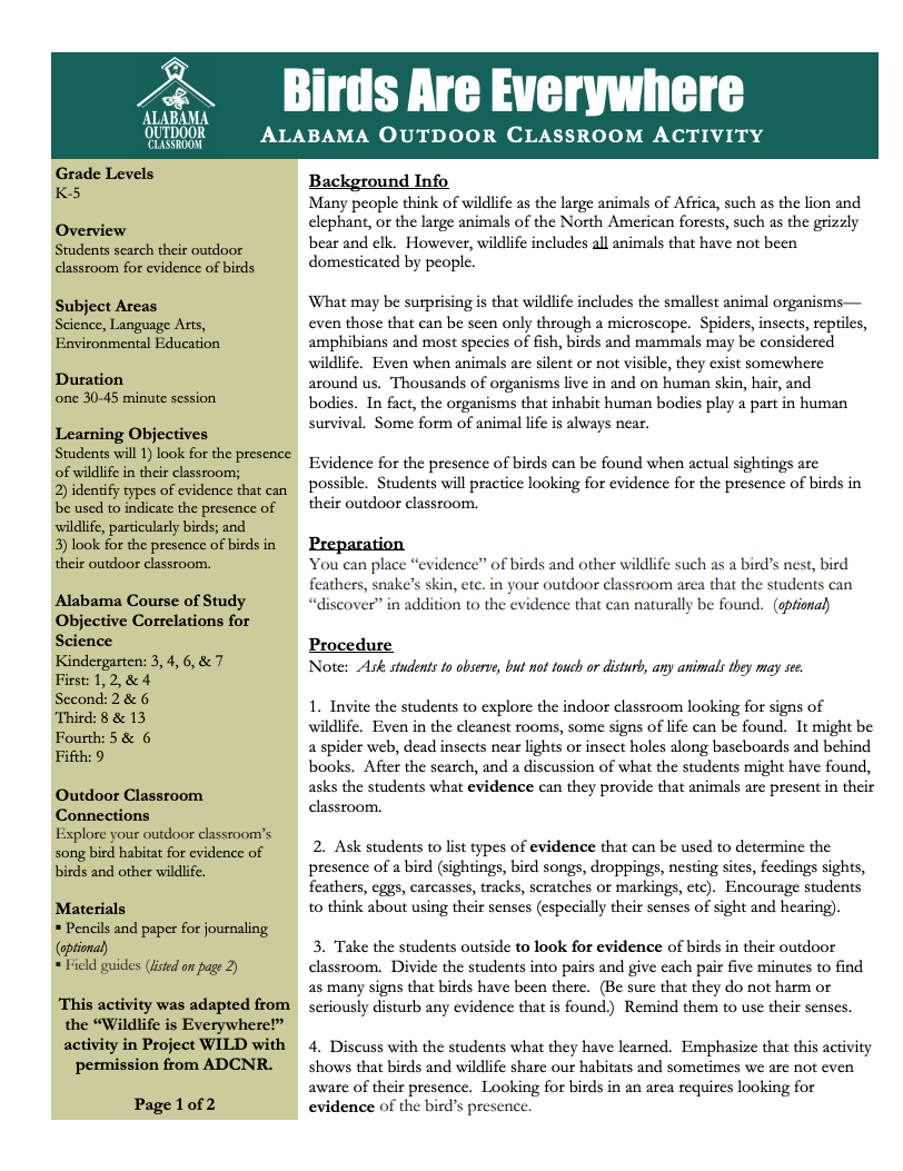 Birds are Everywhere Lesson Plan