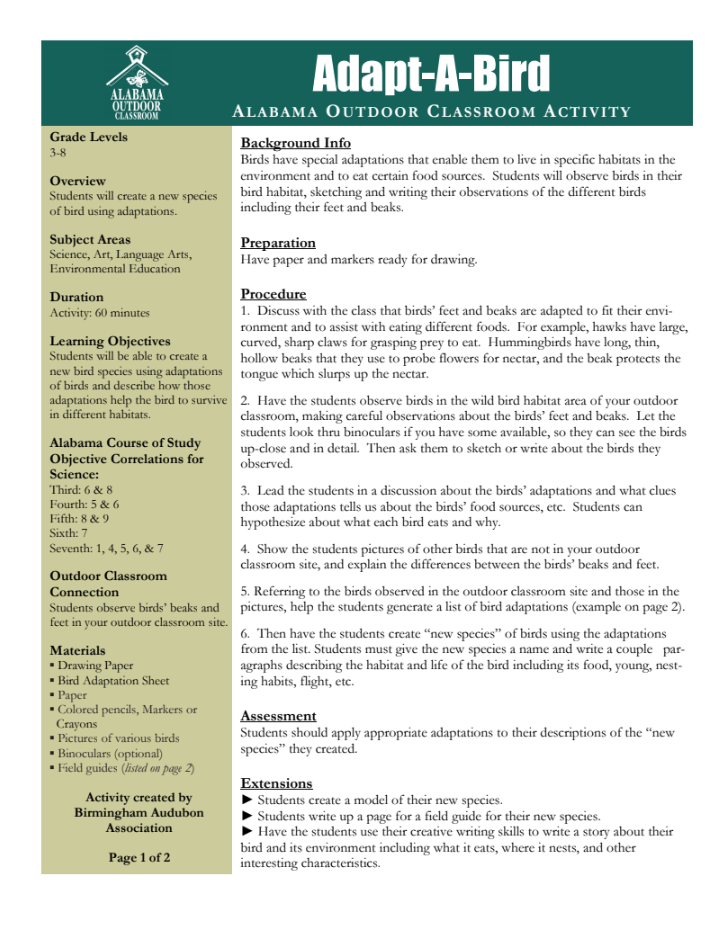 Adapt-A-Bird Lesson Plan