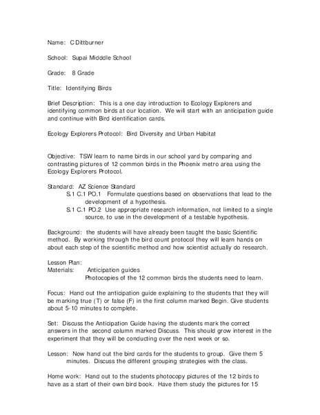 Identifying Birds Lesson Plan