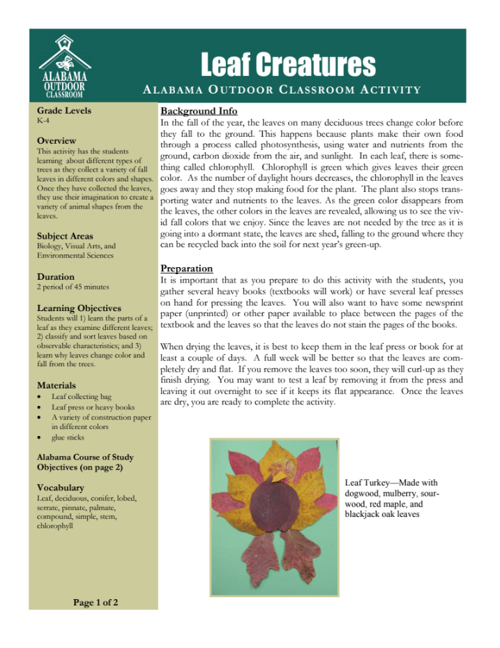 Leaf Creatures Lesson Plan