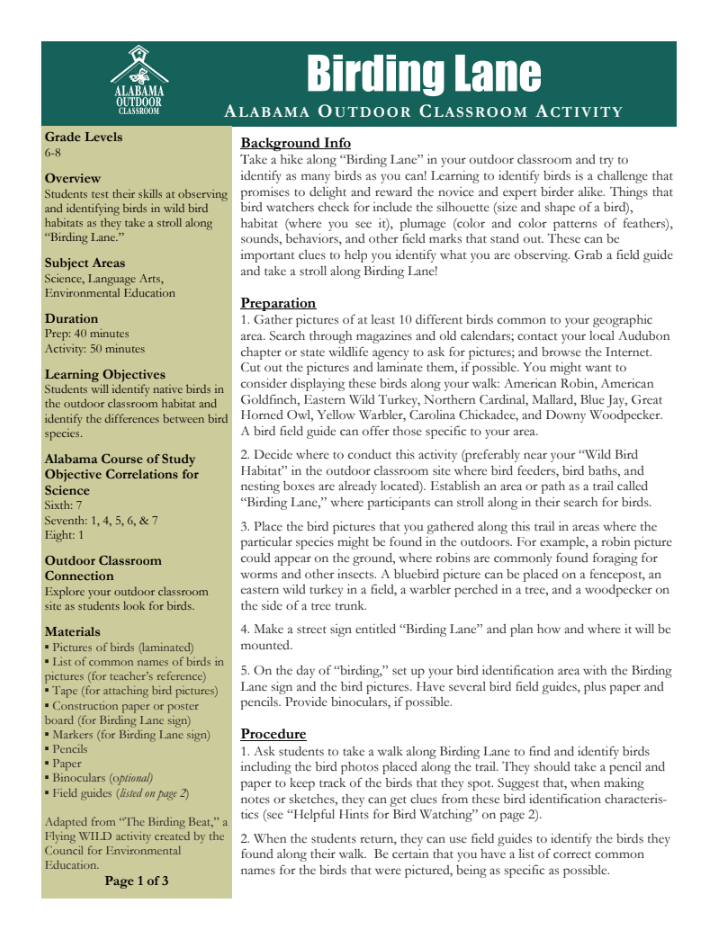 Birding Lane Lesson Plan