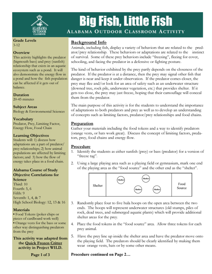 Big Fish, Little Fish Lesson Plan