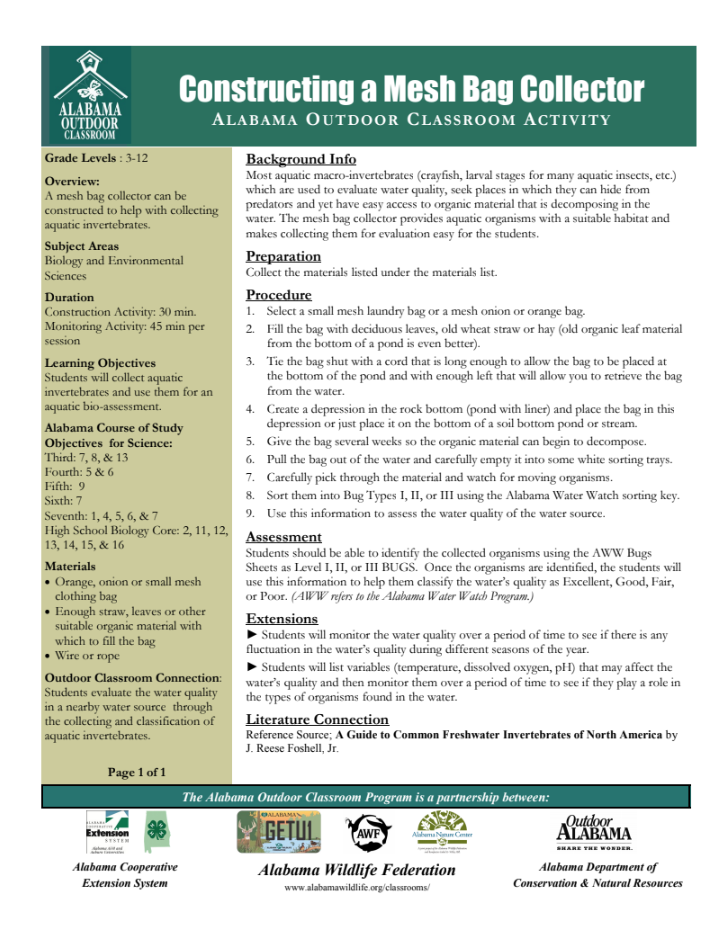 Mesh Bag Collector Activity