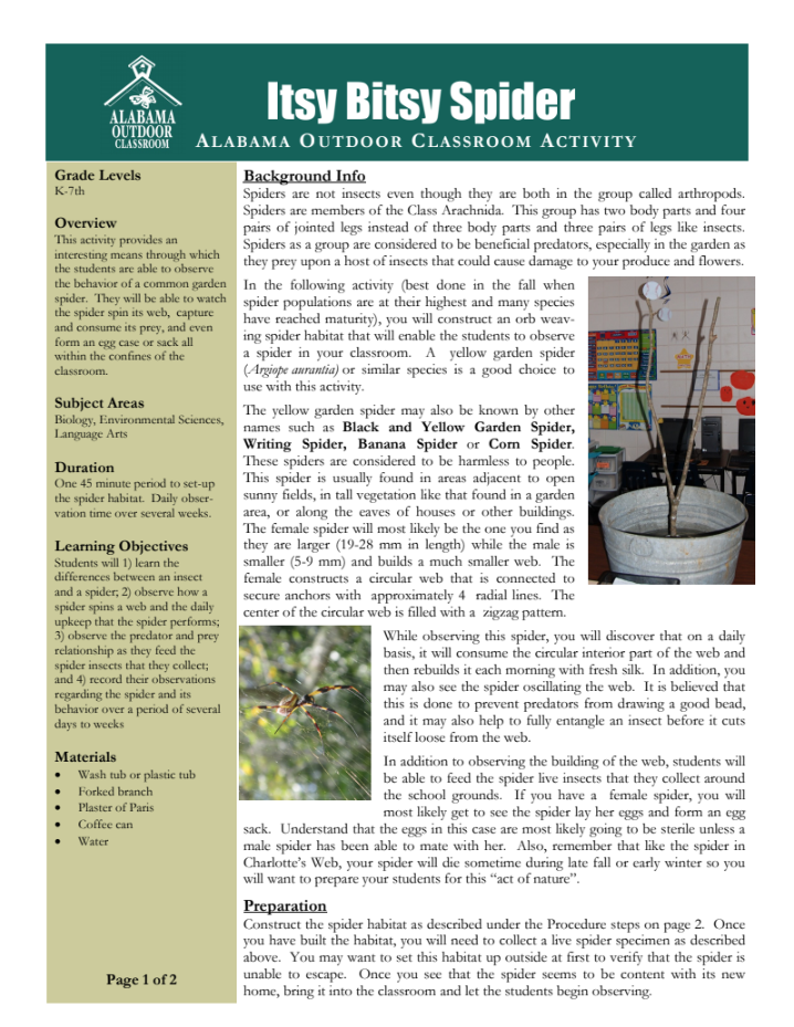 Itsy Bitsy Spider Lesson Plan