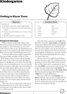 Getting to Know Trees Lesson Plan