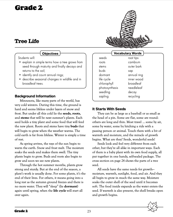 Tree Life Lesson Plan