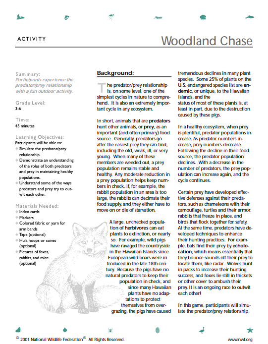Woodland Chase Lesson Plan